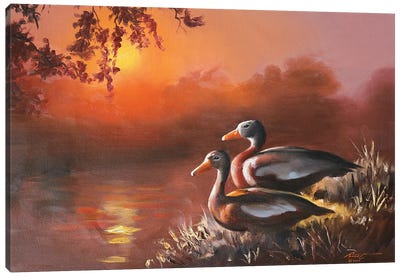 Black Bellied Whistling Ducks Canvas Art Print - D. "Rusty" Rust