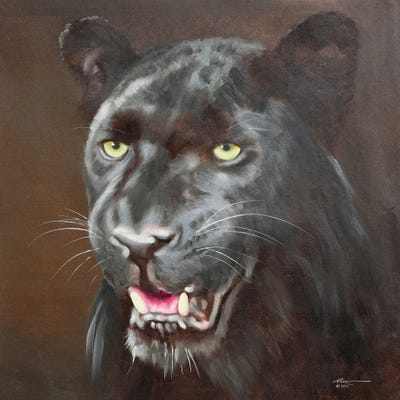 Black Leopard by D. "Rusty" Rust canvas print