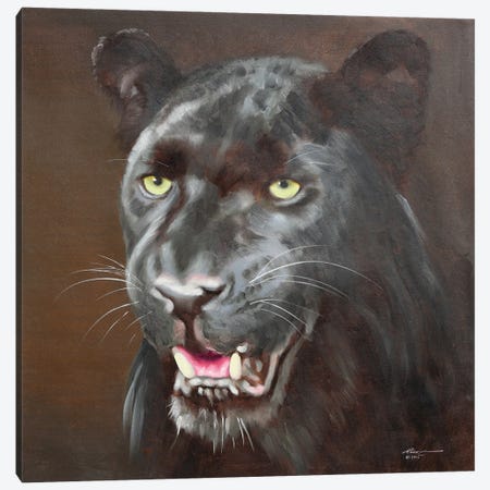 Black Leopard Canvas Print #RSR453} by D. "Rusty" Rust Canvas Artwork