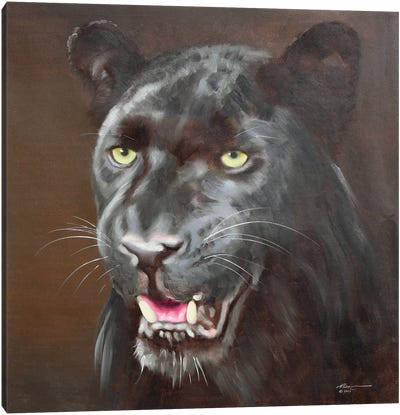 Black Leopard Canvas Art Print - D. "Rusty" Rust