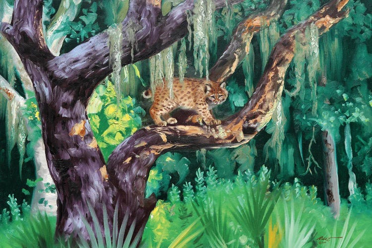 Bobcat I by D. "Rusty" Rust wall art
