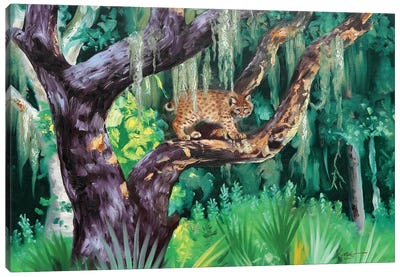 Bobcat I Canvas Art Print - D. "Rusty" Rust