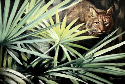 Bobcat II by D. "Rusty" Rust canvas print