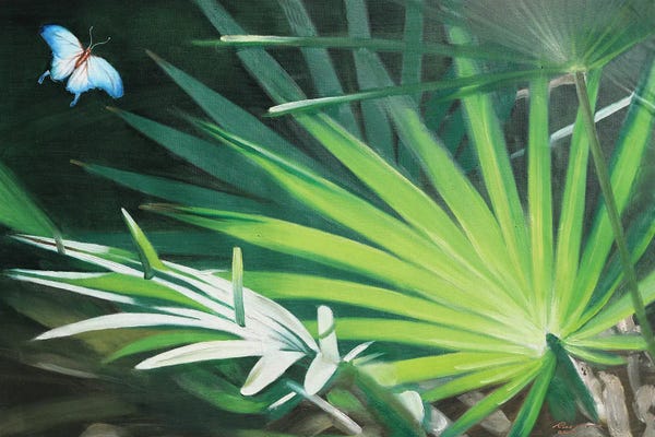 Ferns: Butterfly by D. "Rusty" Rust