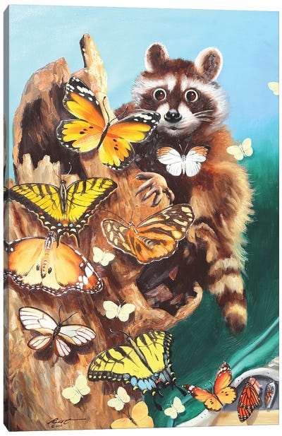 Cocoonie Canvas Art Print - Monarch Metamorphosis