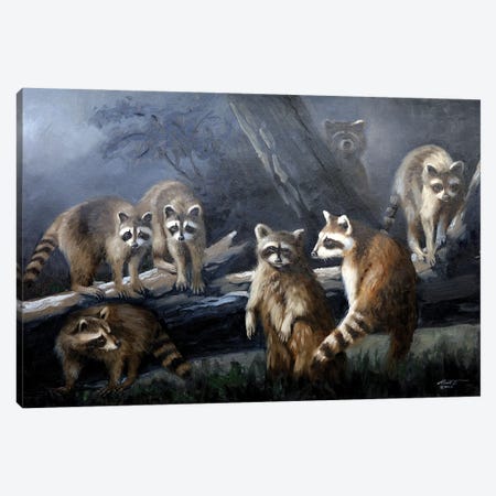 Coons Moon Canvas Print #RSR473} by D. "Rusty" Rust Canvas Wall Art
