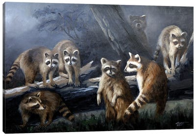 Coons Moon Canvas Art Print - Raccoon Art