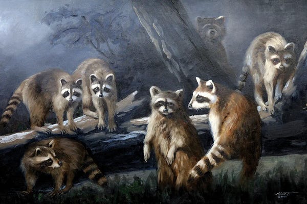 Raccoons: Coons Moon by D. "Rusty" Rust