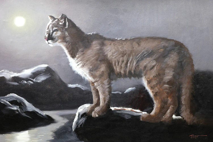 Cougar II by D. "Rusty" Rust wall art