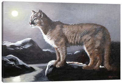 Cougar II Canvas Art Print - D. "Rusty" Rust