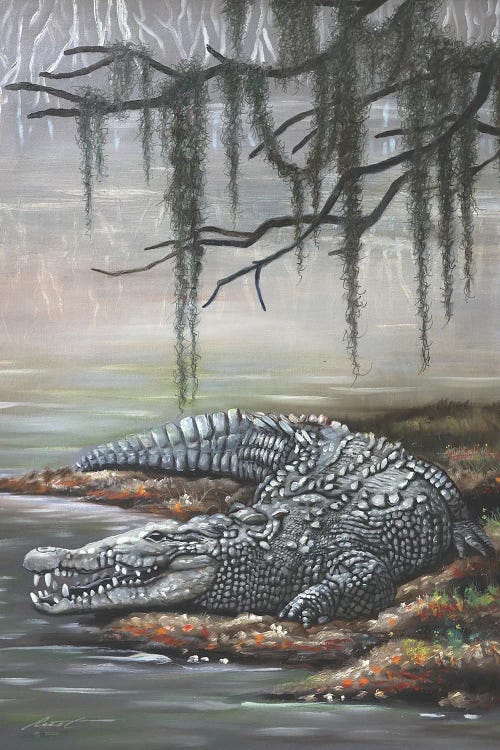 Crocodile