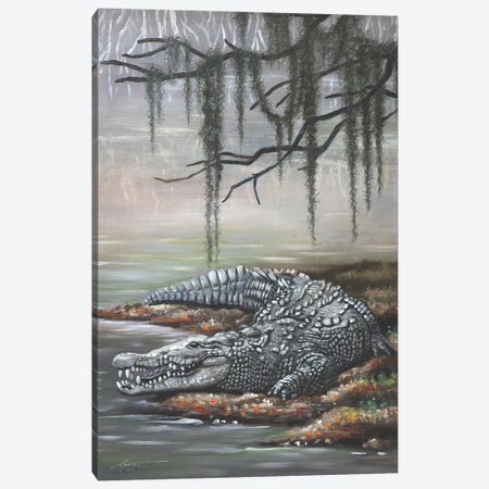 Crocodile Canvas Print #RSR481} by D. "Rusty" Rust Canvas Art Print