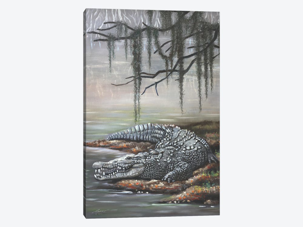 Crocodile by D. "Rusty" Rust 1-piece Canvas Print
