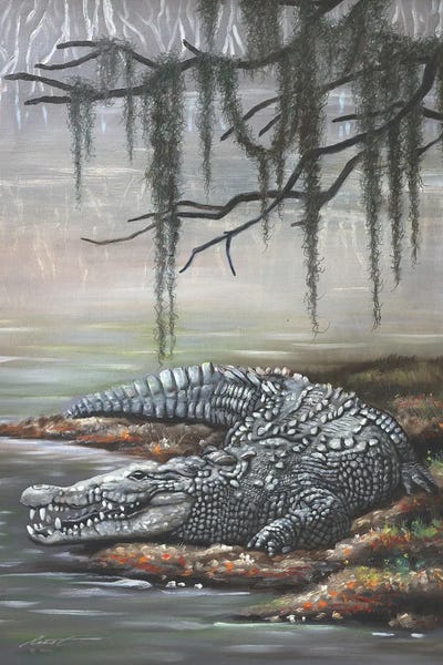 Alligators & Crocodiles: Crocodile by D. "Rusty" Rust