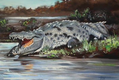 Crocodile by D. "Rusty" Rust art print