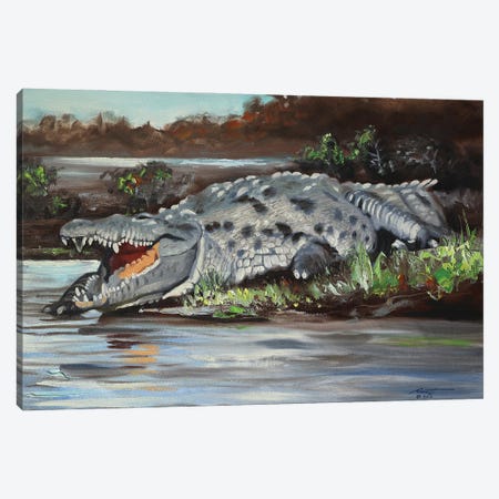 Crocodile Canvas Print #RSR482} by D. "Rusty" Rust Canvas Print