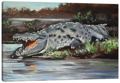 Crocodile Canvas Art Print - D. "Rusty" Rust