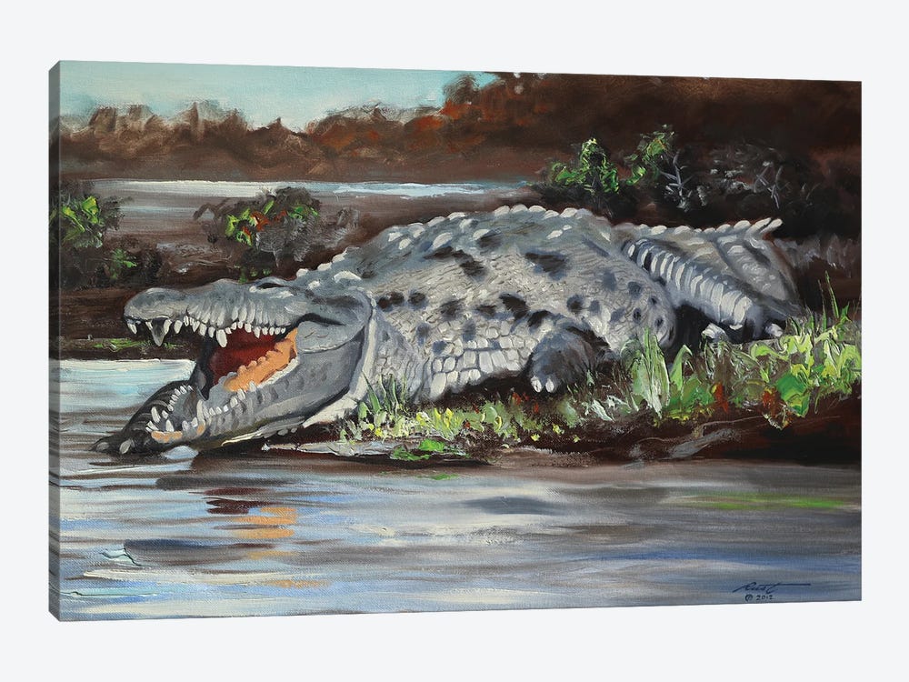 Crocodile by D. "Rusty" Rust 1-piece Canvas Wall Art
