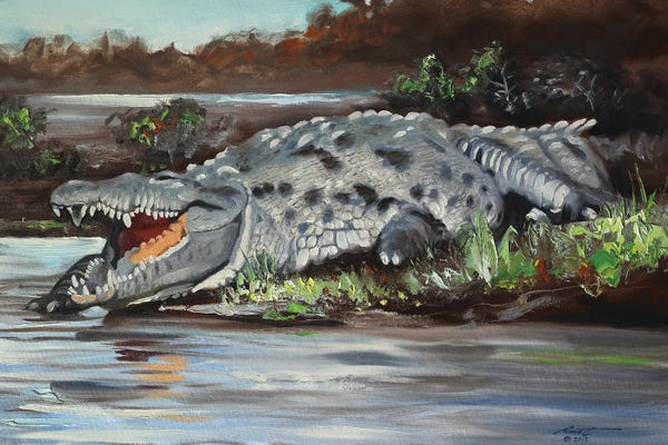 Alligators & Crocodiles: Crocodile by D. "Rusty" Rust