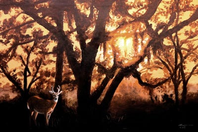 Deer by D. "Rusty" Rust canvas print