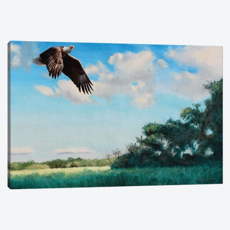 Bald Eagle Headed For A Landing Canvas Print #RSR48} by D. "Rusty" Rust Canvas Art