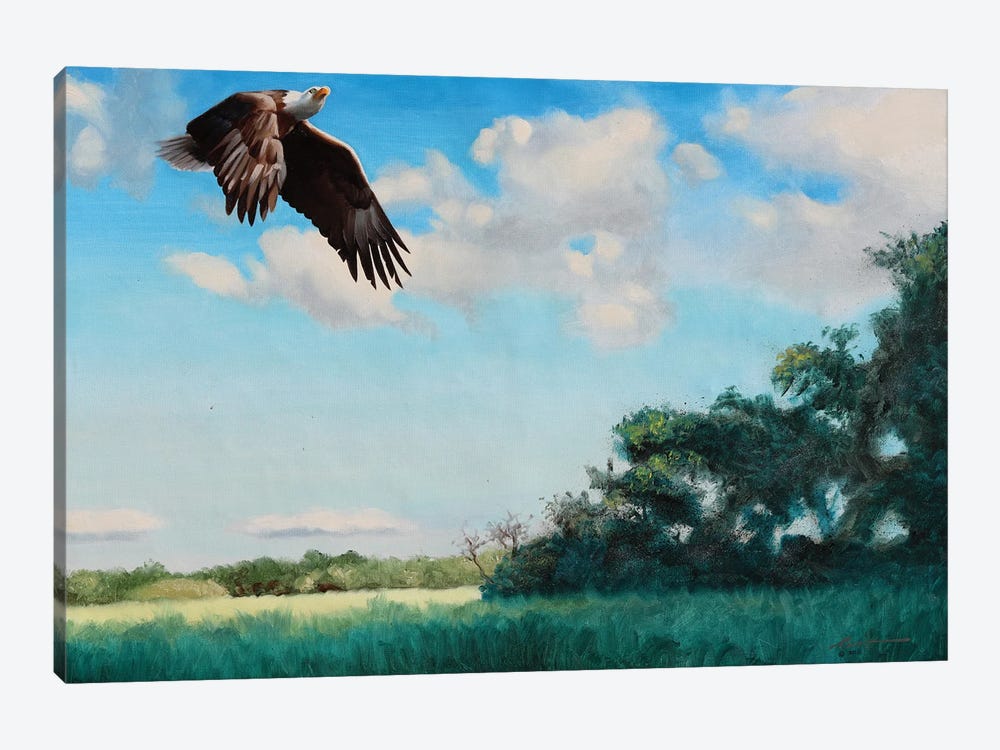 Bald Eagle Headed For A Landing by D. "Rusty" Rust 1-piece Canvas Art Print