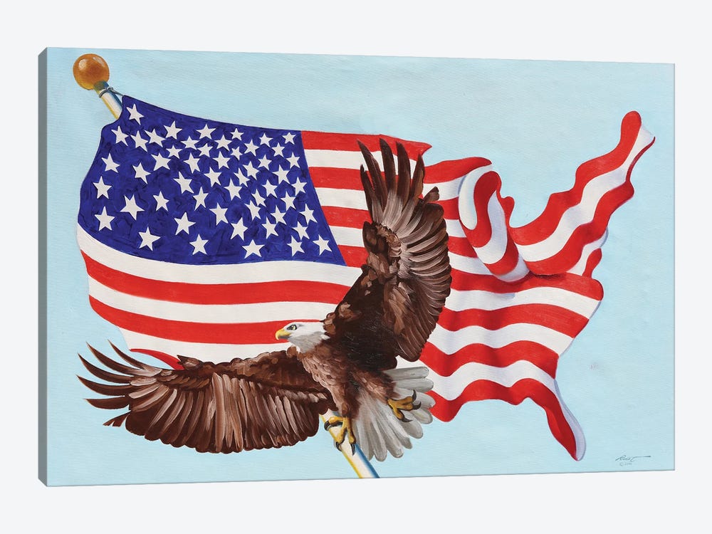 Eagle Flag by D. "Rusty" Rust 1-piece Canvas Print