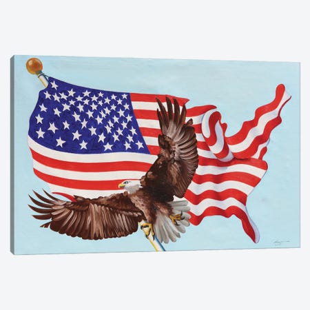 Eagle Flag Canvas Print #RSR492} by D. "Rusty" Rust Canvas Art