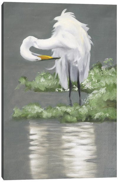 Egret Canvas Art Print - Egret Art