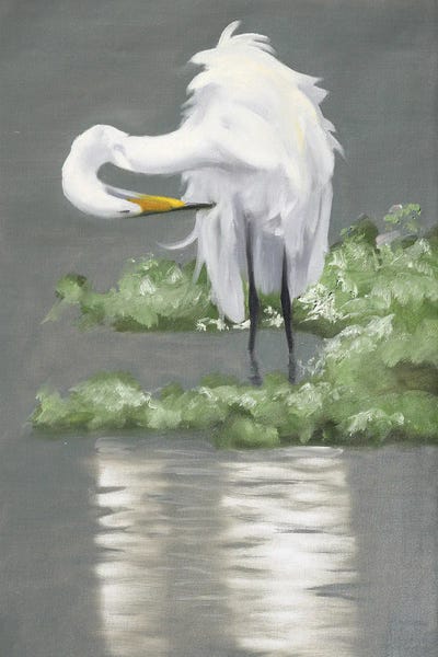 Egrets: Egret by D. "Rusty" Rust