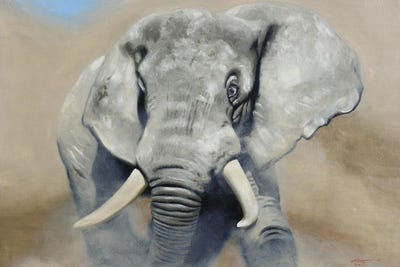 Elephant by D. "Rusty" Rust art print