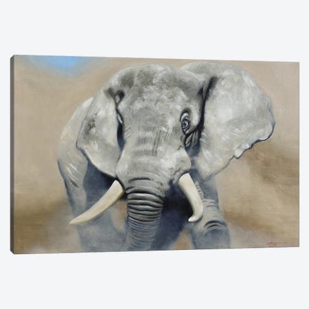 Elephant Canvas Print #RSR495} by D. "Rusty" Rust Canvas Print
