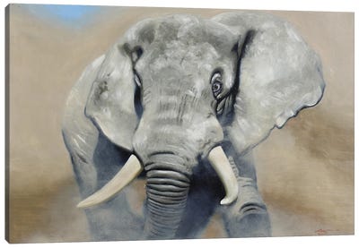 Elephant Canvas Art Print - D. "Rusty" Rust