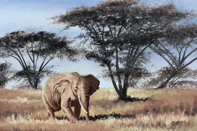 Elephant by D. "Rusty" Rust multi panel art