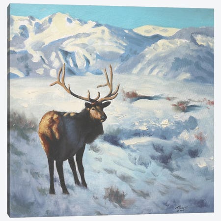 Elk Canvas Print #RSR497} by D. "Rusty" Rust Art Print