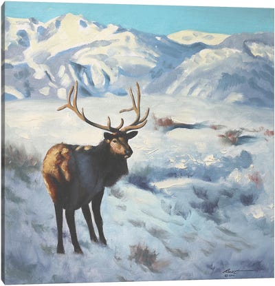 Elk Canvas Art Print - Elk Art
