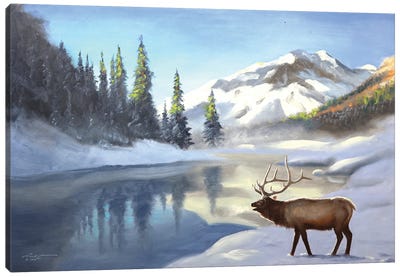 Elk Canvas Art Print - D. "Rusty" Rust