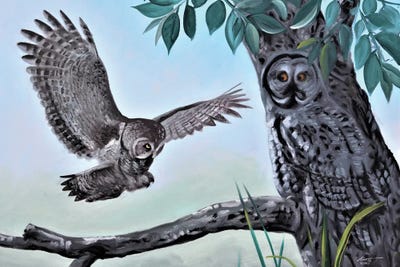 Give A Hoot by D. "Rusty" Rust art print