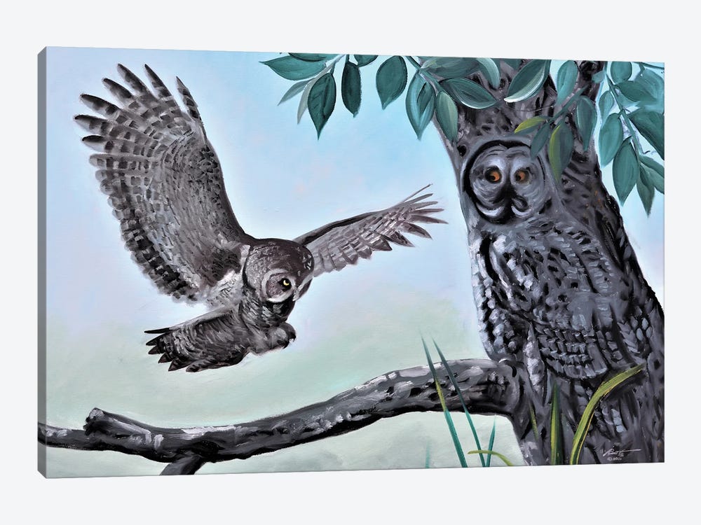 Give A Hoot by D. "Rusty" Rust 1-piece Canvas Art