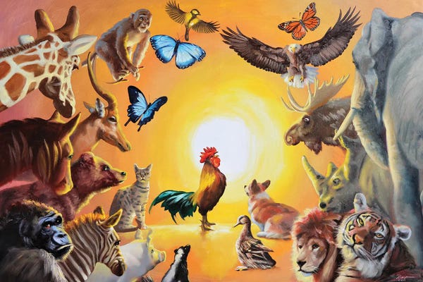 Zebras: Good Morning by D. "Rusty" Rust