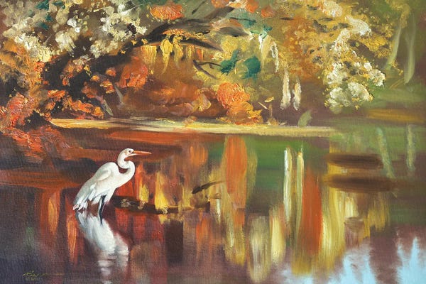 Egrets: Great White Egret by D. "Rusty" Rust