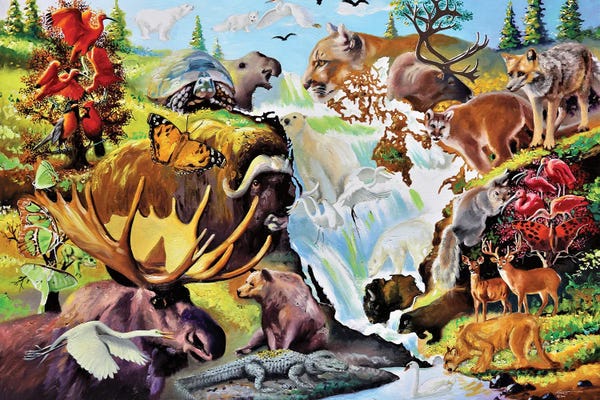 Moose: Hide And Seek by D. "Rusty" Rust