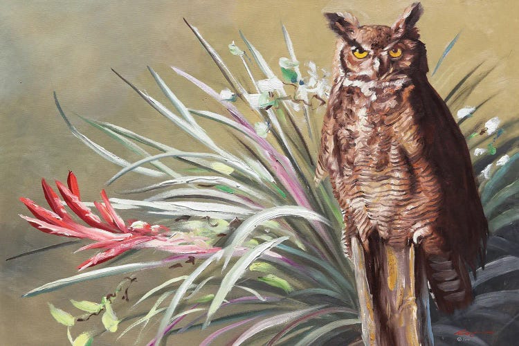Horned Owl