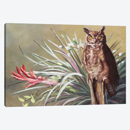Horned Owl Canvas Print #RSR513} by D. "Rusty" Rust Art Print