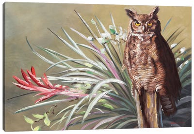 Horned Owl Canvas Art Print - D. "Rusty" Rust