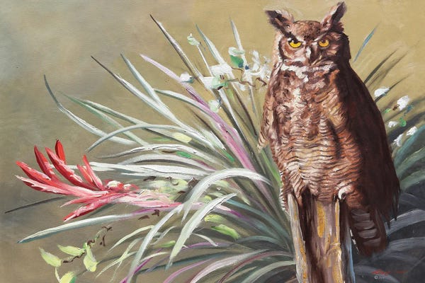 Horned Owl