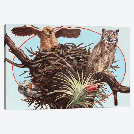 Horned Owl Canvas Print #RSR514} by D. "Rusty" Rust Canvas Art