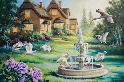 Ibis Cottage by D. "Rusty" Rust framed canvas print