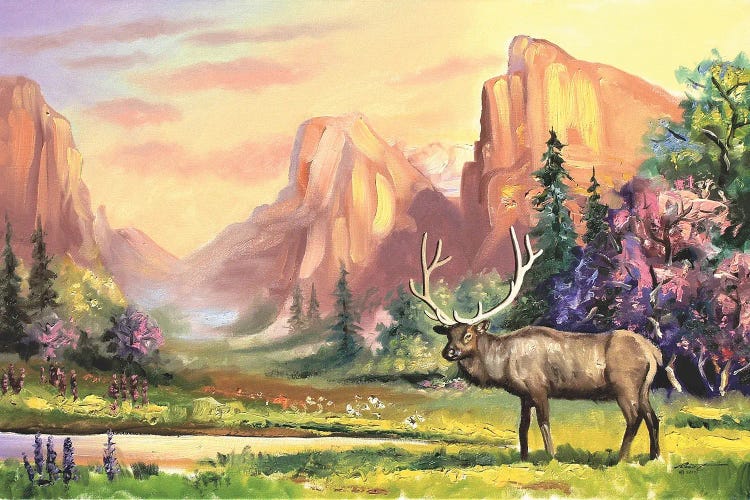 Elk In Summer Wilderness