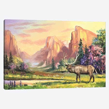 Elk In Summer Wilderness Canvas Print #RSR51} by D. "Rusty" Rust Canvas Print